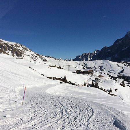 Grindelwald-Sunneblick Daire Dış mekan fotoğraf