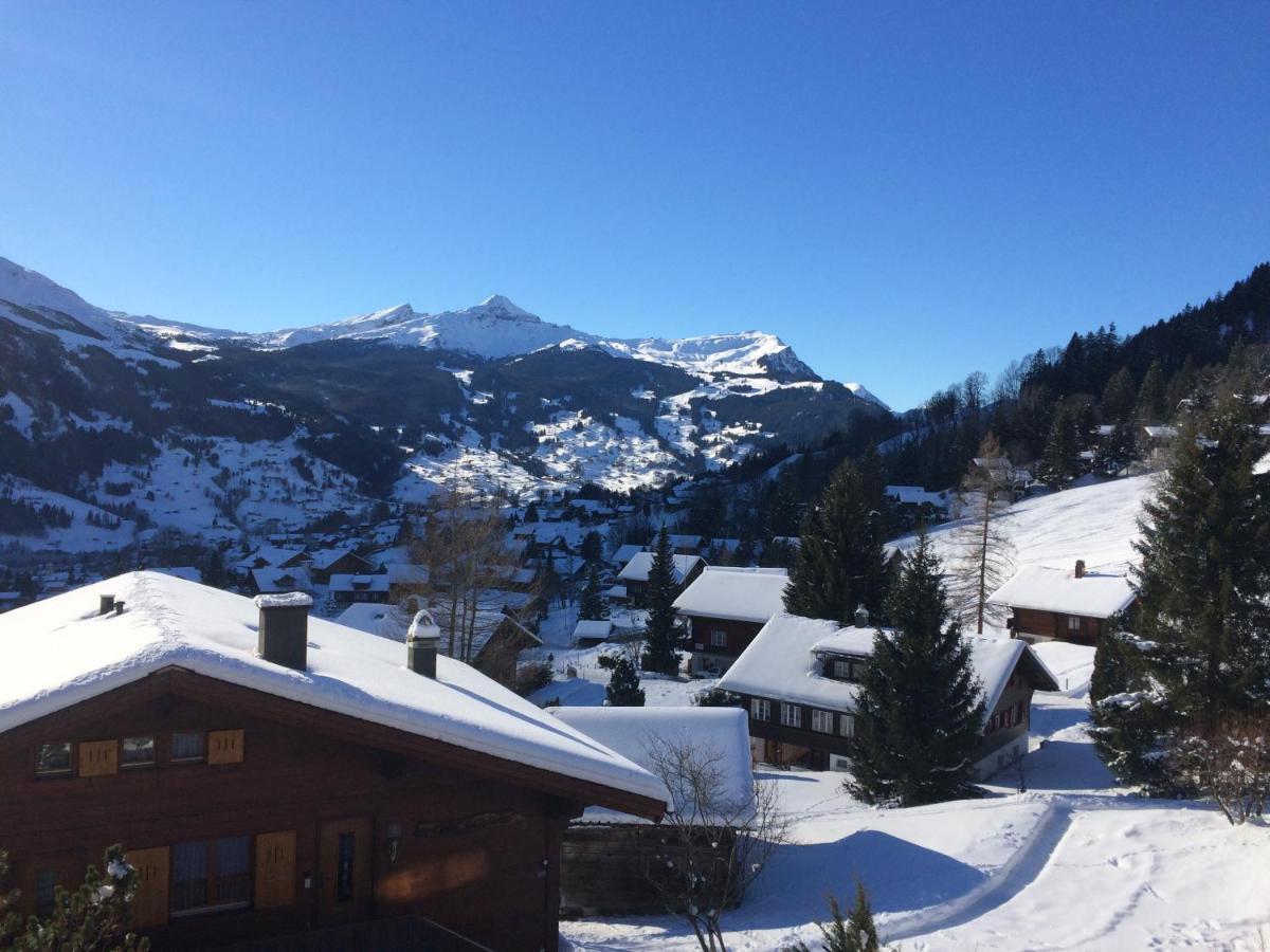 Grindelwald-Sunneblick Daire Dış mekan fotoğraf