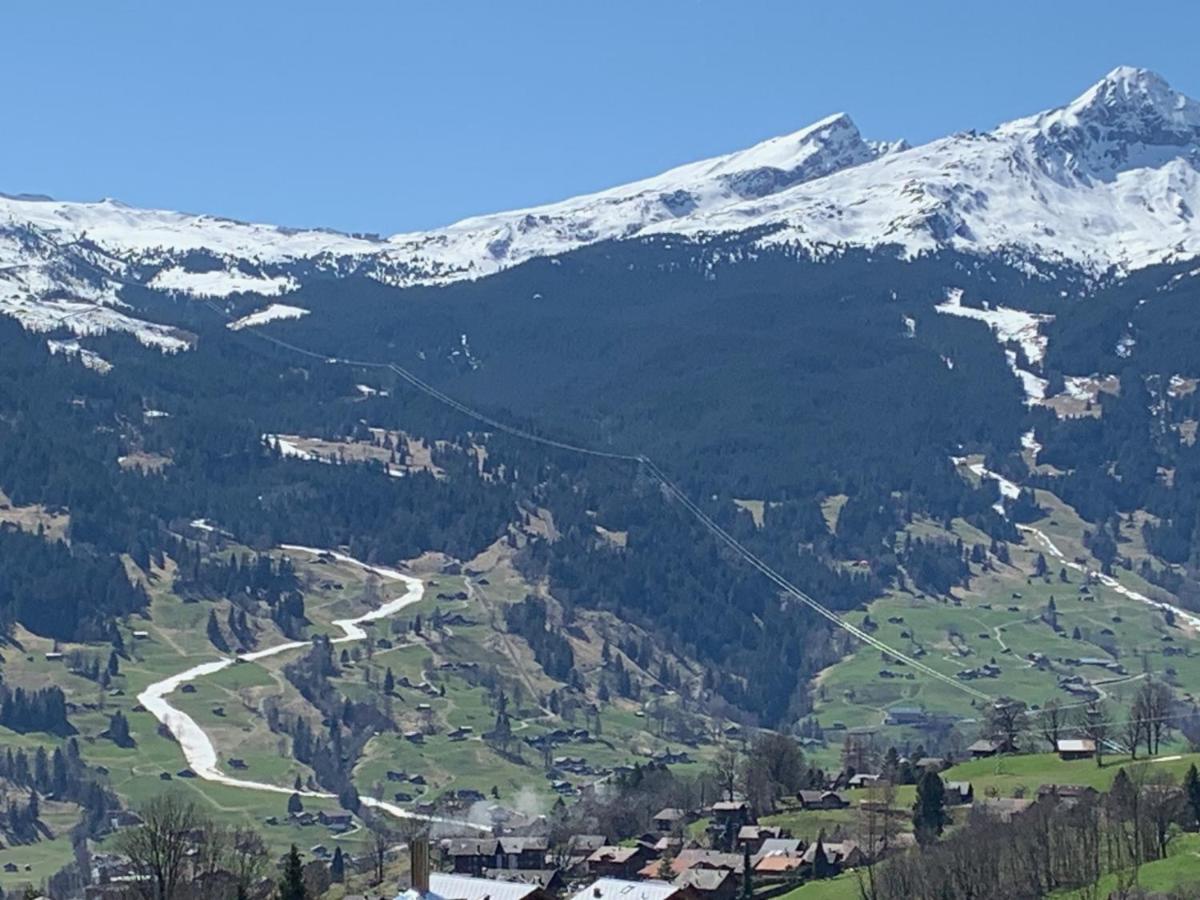 Grindelwald-Sunneblick Daire Dış mekan fotoğraf