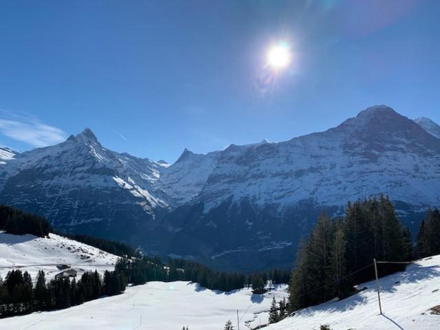 Grindelwald-Sunneblick Daire Dış mekan fotoğraf